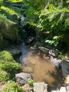 Maison confortable à Muhlbach-sur-Bruche, terrain de 6000 m².