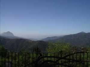 Casas Rurales Jardines del Visir