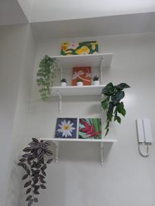 Aloha Escape for Coffee Lovers