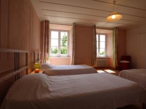 Maison de campagne avec grande terrasse, près de Lavaudieu et accessible PMR - FR-1-582-217