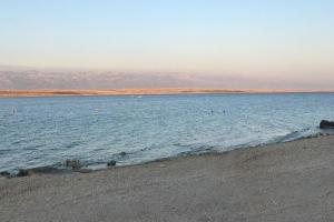 Apartments by the sea Vir - 24566