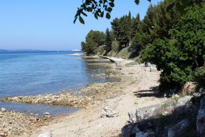 Apartments with parking space Zadar - 24593