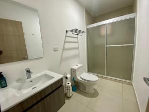 Luxury Apartment -The Flats