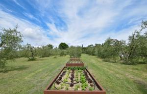 Awesome Home In Marciano Della Chiana