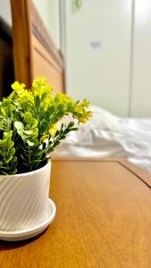 Apto Próximo da Orla, Praia do Morro, Guarapari, Elevador, Garagem Coberta, Wifi, poucos mtrs da areia