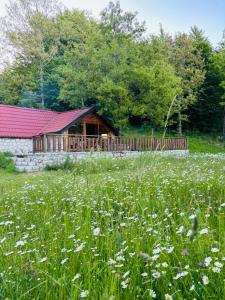 Montenegro Rustic House II