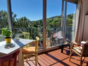 Appartement à Banyuls-sur-Mer avec Vue sur Mer et Parking - FR-1-309-6