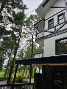 Casa Amoris Crosswinds