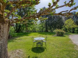 Appartements Charmant gite avec jardin, clim, wifi, proche Sarlat et riviere Dordogne, animaux bienvenus - FR-1-616-310 : photos des chambres
