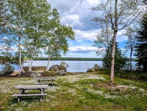 Cabin and Canvas Lakefront Retreat family beach 1dog fire pit