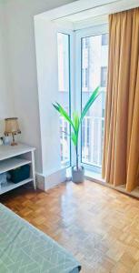 Katriens Casino View