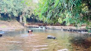 White Fort Holiday Home