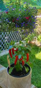 Hello Disneyland Paris