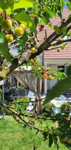 Maisons de vacances Hello Disneyland Paris : photos des chambres