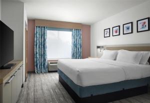 One-Bedroom King Suite with Sofa Bed room in Hilton Garden Inn Tampa East/Brandon