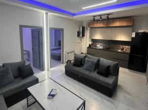 Deluxe Villa Apart 3
