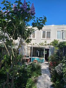 House nearby Amsterdam