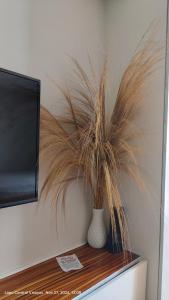 Mactan cozy nest 1619