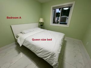 Newton Suite