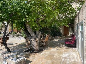 CAPPADOCİA ST.NİNOS GARDEN