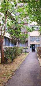 Apartman Lily
