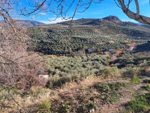Calle lerida Apartamento céntrico
