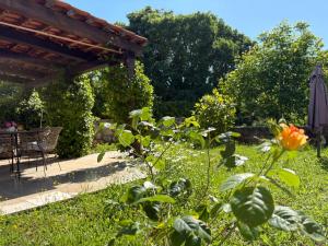 Apartment Dulcis Domus 