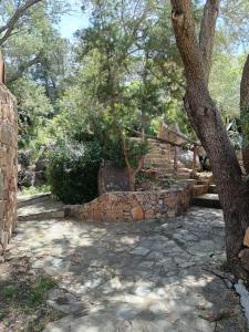 Apartments Nicole img33