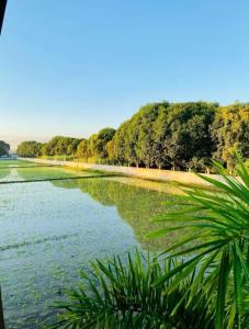 The Farmhouse Pampanga