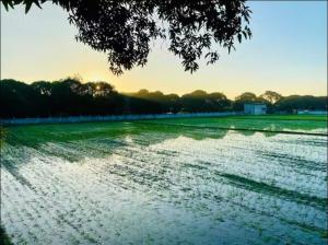 The Farmhouse Pampanga