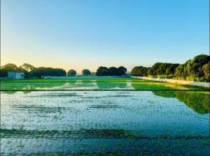 The Farmhouse Pampanga