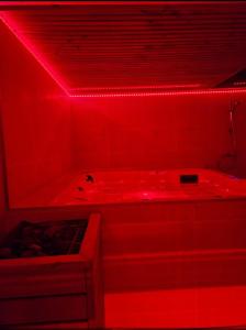 Appartements Appart design Jacuzzi Sauna, Salle de sports : photos des chambres