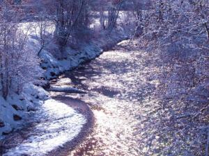 Apartment in Stubaital near Ski Lift
