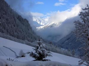 Apartment in Stubaital near Ski Lift