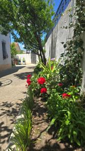 My Home Two bedrooms