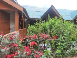 Rose House Manali