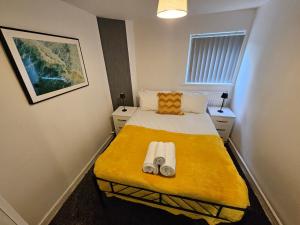 Furnished 1 BR Apt in Liverpool