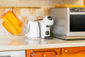 Palm Apartment Portorose