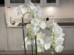 Appartements Old town-Exceptional Apartment-in absolute calm : photos des chambres
