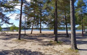 Awesome Home In Sandarne With Wifi