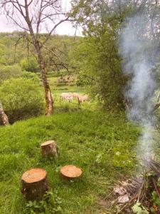 Chambre cosy en pleine nature, proche de Dijon