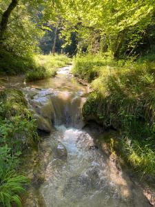 Chambre cosy en pleine nature, proche de Dijon