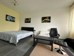 Guesthouse Ostello dell Arte