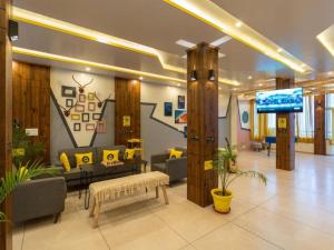 The Hosteller Kufri, Shimla