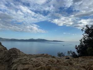 Appartements Ideal emplacement Cargese 3 : Appartement 1 Chambre