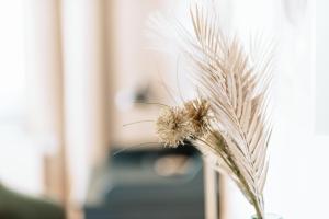 Deichstadt Apartments