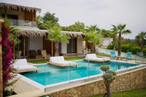 SANIMAR By Mono Alex