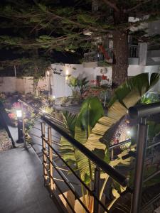 George Beach Studios