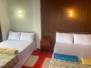 cool mount home stay inn