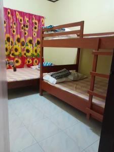 Sophias Transient House Pagudpud